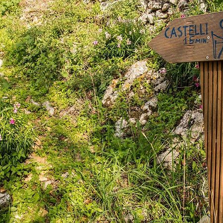 Castelli Olive Press Pensionat Acharavi  Exteriör bild