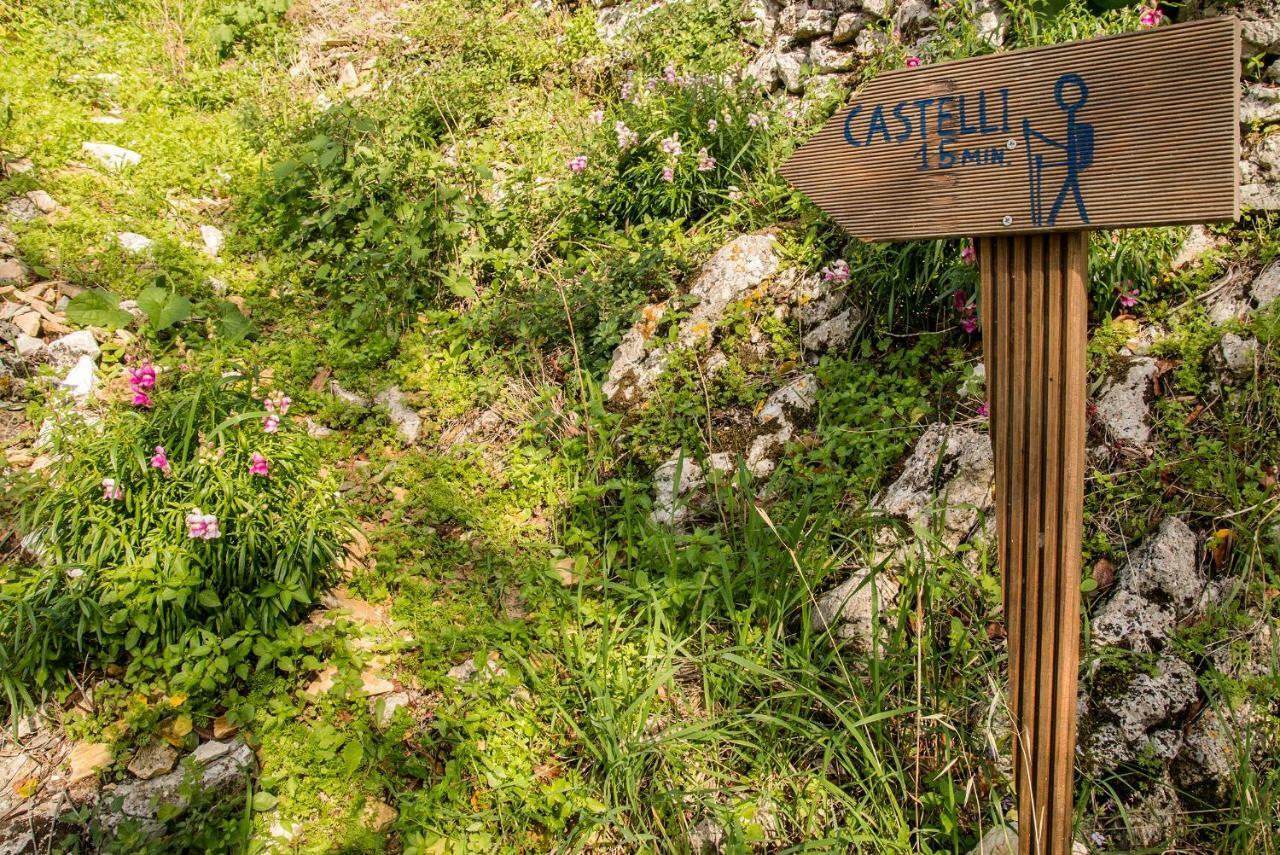 Castelli Olive Press Pensionat Acharavi  Exteriör bild